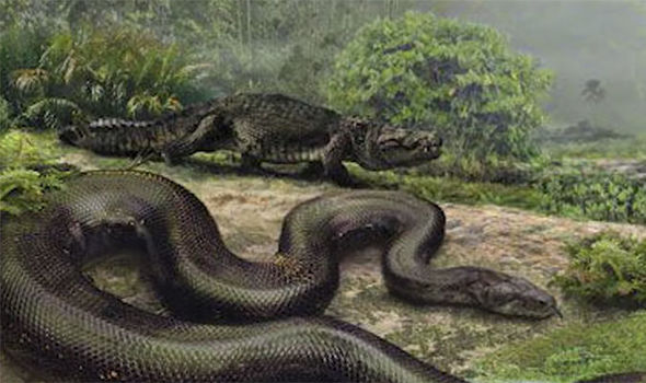 "Titanoboa