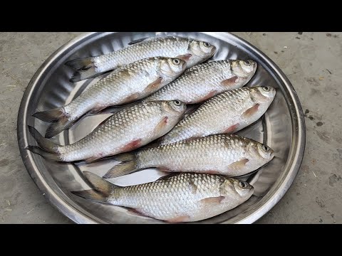 दरही मछली कैसे बनाए || मछली बनाने का सबसे आसान तरीका || Darahi fish curry  recipe in village style - YouTube