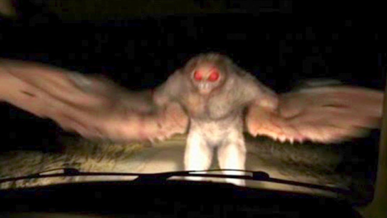 20 Strangest Things Caught On Dashcam - YouTube